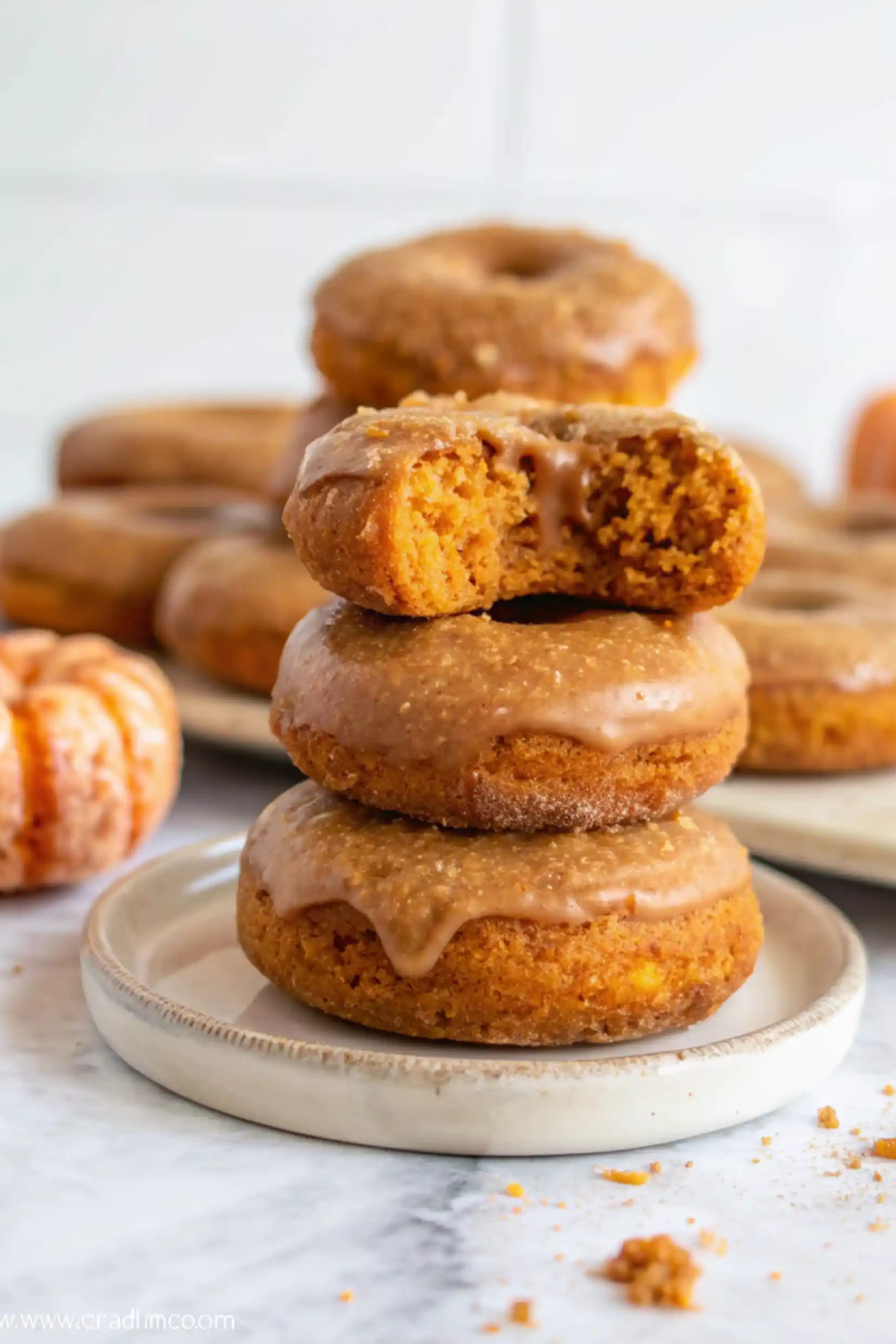 Mom's Favorite: Baked Pumpkin Donuts with Crunchy Cinnamon Sugar